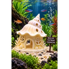 BarsDepo Akvaryum Sualtı Kabuklu Ev Mağarası Tabela Hedıyelı 8X6CM Batan Model