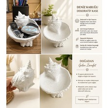 Durino Deniz Kabuğu Dekoratif Kase – 3D Baskı