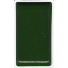 Zig Kuretake Gansai Tambi Tablet Sulu Boya 58 Evergreen