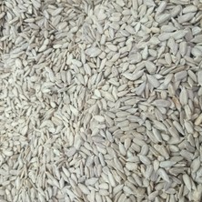 Kayısı Center Toptan Ayçekirdeği Içi 10 kg