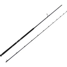 Savage Gear Defiance Sg2 Shore Jig 2.90M 15-60GR 2 Parça Olta Kamışı