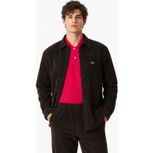 Lacoste Men's Regular Fit Button-Down Cotton Shirt Erkek Düğmeli Yaka Pamuklu Kadife Gömlek Kahverengi