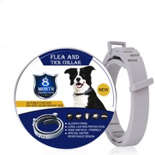Pawde Luxe 8 Aylık Su Geçirmez Ayarlanabilir Köpek Pire ve Kene Tasması