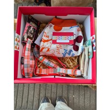 Zuzu Pet Fashion Turuncu Hediye Kutusu M