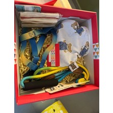 Zuzu Pet Fashion Mavi Hediye Kutusu M
