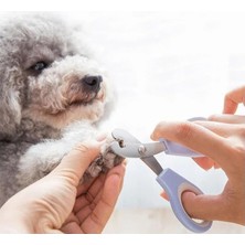 Store Kedi Tırnak Makası Çelik Ergonomik Tutuş Evcil Hayvan Köpek Tırnak Makası (Garantili)