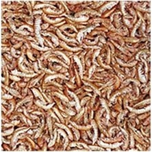 Pet 1.ci Kalite Gammarus 30 gr Kaplumbağa Yemi