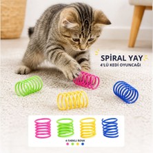Popüler Sepet 4'lü Renkli Spiral Yay Kedi Oyuncağı, Esnek ve Hareketli Eğlenceli Kedi Oyun Seti