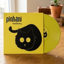 Kahveci Elektronik Store Pinhani Kediköy Renkli Plak Lime Green Lp