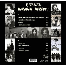 Kahveci Elektronik Store Hardal Nereden Nereye Renkli Plak, Lp Vinyl