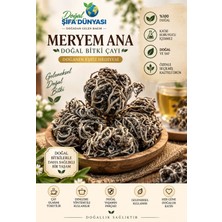 Meryem Ana Otu