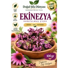 Ekinezya