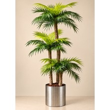 Erhan Flowers 160 cm Palmiye Arekası 30 Yaprak Metal Saksıda