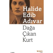 Meks Dağa Çıkan Kurt
