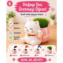 Wesank Kedi Çim Kiti – Boya, Ek, Büyüt – Kedini Yetiştir