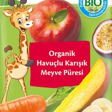 Salmore Mey Ithalat®   Organik Havuçlu Karışık Meyve Püresi 100 gr