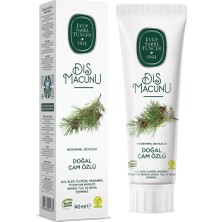 Salmore Mey Ithalat®   Doğal Diş Macunu 90 gr Çam Özlü