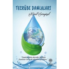 Platanus Publishing Tecrübe Damlaları