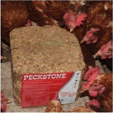 Royal İlaç Royal Avian Peckstone Gagalama Mineral Taşı 4 kg