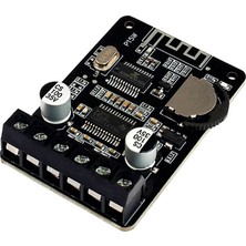 Robotsepeti XY-P15W Stereo 10W15W20W30W Yüksek Güçlü Power Amplifier Kartı