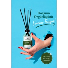 Vivaldi Home Yağmur Ormanları Çubuklu Oda Kokusu Esansiyel Uçucu Yağ 50 ml