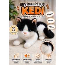 Hepsilazım Oyuncak Pilli Sesli Peluş Kedi 35 cm Gerçekçi Miyavlayan Yumuşak Dokulu Çocuk Oyuncağı
