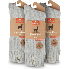 NordSox Erkek Alpaka Yün Çorap 3’lü Paket