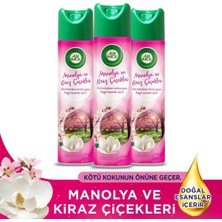 Air Wick Aerosol Sprey Oda Kokusu Kiraz Çiçekleri 3X300 ml