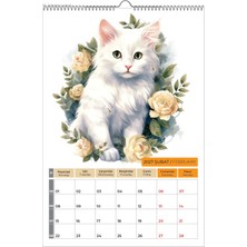 Naturel Basım 2027 Kedi Color Duvar Takvimi