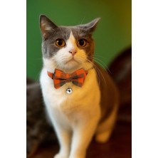 St. Morritz Ekoseli Fiyonklu Kedi Tasması – Çıngıraklı, Ayarlanabilir, Güvenlik Tokalı (Kırmızı / Turuncu)