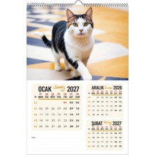 Naturel Basım 2027 Kedi Duvar Takvimi-1 SAYFADA 3 AY