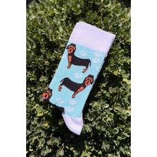 Lou Socks Unisex Sosis Köpek Desenli Turkuaz Soket Çorap