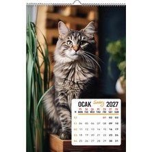 Naturel Basım 2027 Kedi / Cat Duvar Takvimi / 33X48 CM