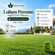 Lolium Perenne Çim Tohumu - 10 Kilo (Ingiliz Çimi / Çok Yıllık)