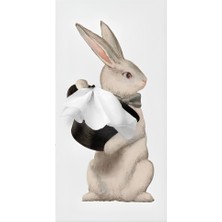Spextrum Tissue Up Tale Wonder Rabbit Peçetelik Beyaz
