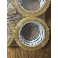 Stella Koli Bandı (12Lİ)