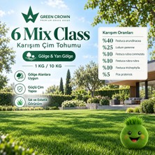 Çim Tohumu 6 Mix Grass Karışımı - 1 Kilo