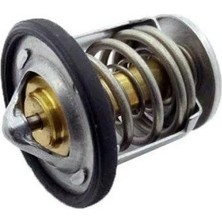 Pulsar Ns 200 ,rs 200 Termostat Tüm Yıllara Uyumlu Bajaj Moto Eay