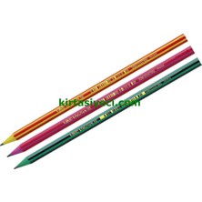 Bic 918487 Evolution Stripes Kursun Kalem Adet