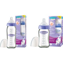 Lansinoh 240 Ml-160 Ml Cam Biberon Seti 2 Adet NaturalWave™ Teknolojisi ile Kolay Emzirme