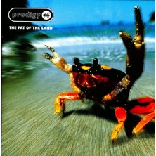 B Side Club The Prodigy - The Fat Of The Land