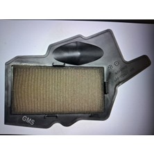 GİVİS Givis Hava Filtresi Tvs Raider 125