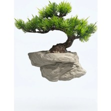 15X30X30 cm Özel Tasarım Bonzaili Duvar Dekoru