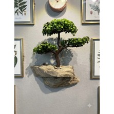 15X30X30 cm Özel Tasarım Bonzaili Duvar Dekoru
