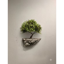 15X30X30 cm Özel Tasarım Bonzaili Duvar Dekoru
