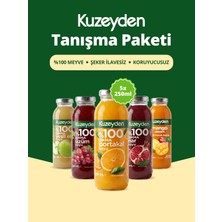Kuzeyden Tanışma Paketi 5X250ML %100 Meyve Suyu Şeker İlavesiz Doğal Lezzetler