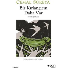 Colezium Bir Kırlangıcın Daha Var