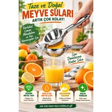 Open Home Concept Büyük Boy Döküm Metal Narenciye Sıkacağı Portakal Limon Manuel Meyve Suyu Presi 23 cm Çelik Renk Tip