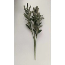 Erhan Flowers Zeytin Dalı 45 cm