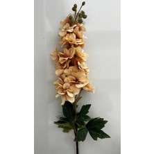 Erhan Flowers Şebboy Çiçegi Somon